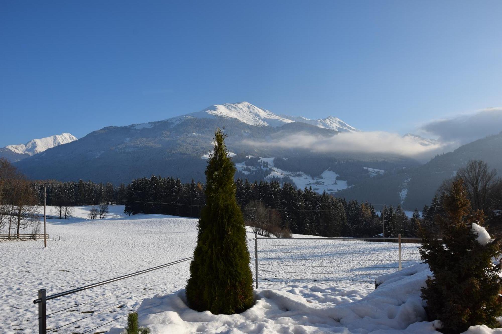 Gmiatlich Wohnen Apartment Hollersbach im Pinzgau